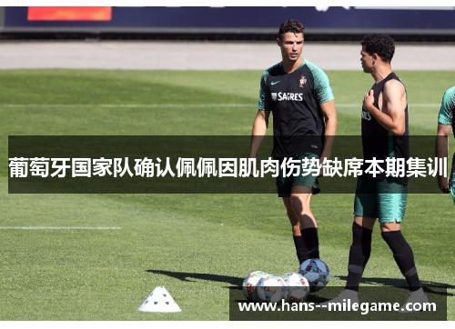 葡萄牙国家队确认佩佩因肌肉伤势缺席本期集训 葡萄牙国家队确认佩佩因肌肉伤势缺席本期集训